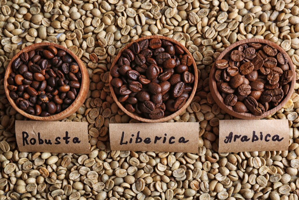 Arabica vs Robusta