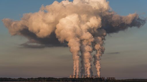 Wpływ zmian klimatycznych na rynek surowców spożywczych 